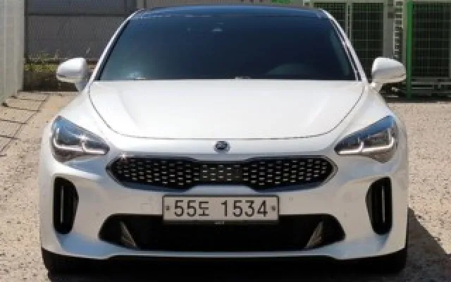 스팅어 중고차 스팅어 가솔린 2.0 터보 AWD 매물 사진 13 - 2017/10 101,173km
