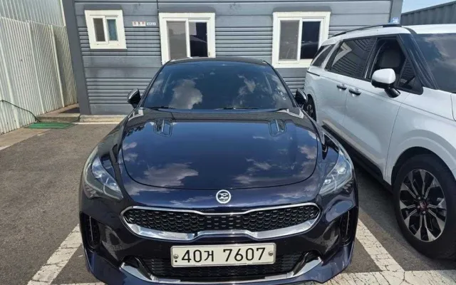 스팅어 중고차 스팅어 디젤 2.2 AWD 매물 사진 15 - 2018/04 163,219km